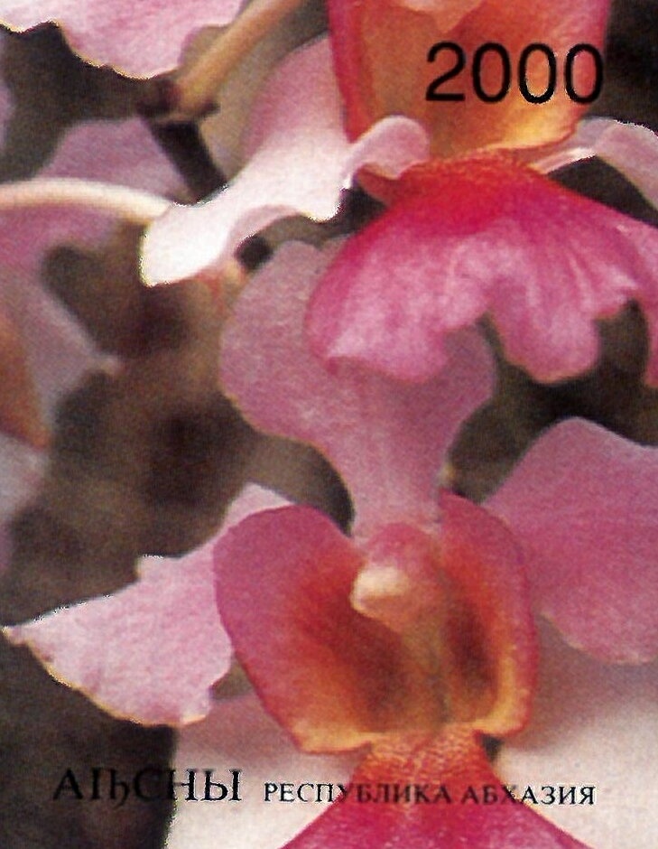 Sheikh Zaid bin Sultan al Nahayan