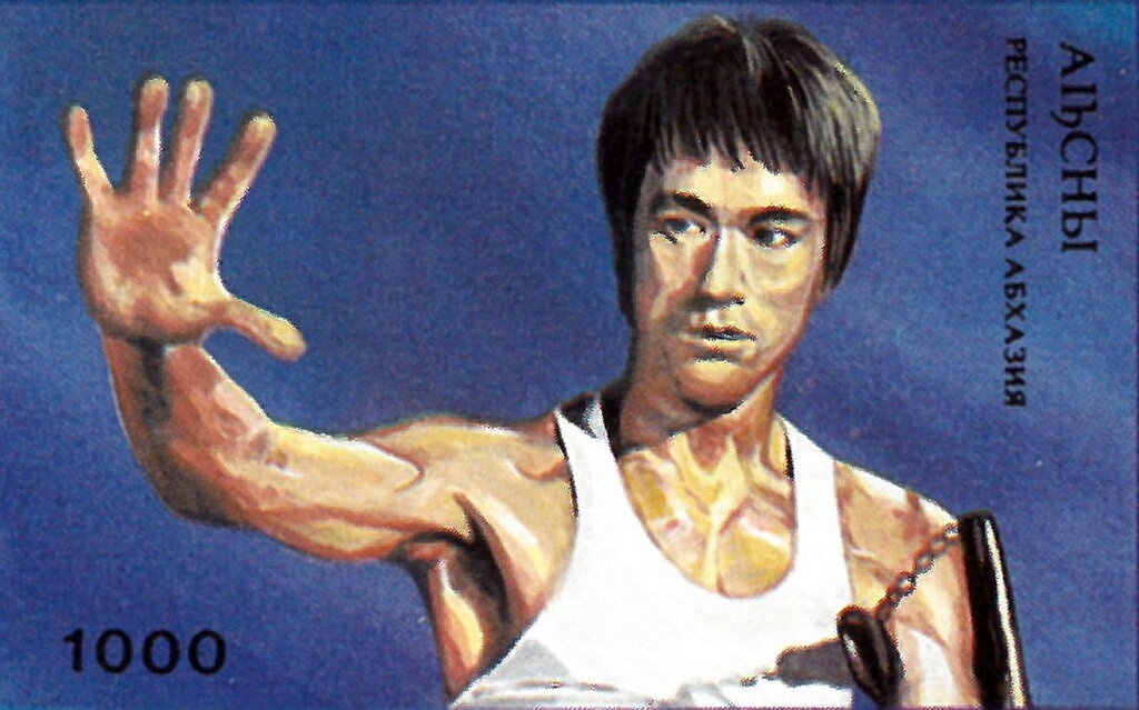 Gudauta Region: Pintail (Anas acuta)