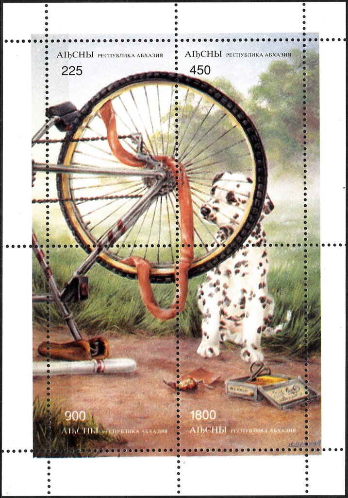 Animals Frogs Bats Iguana