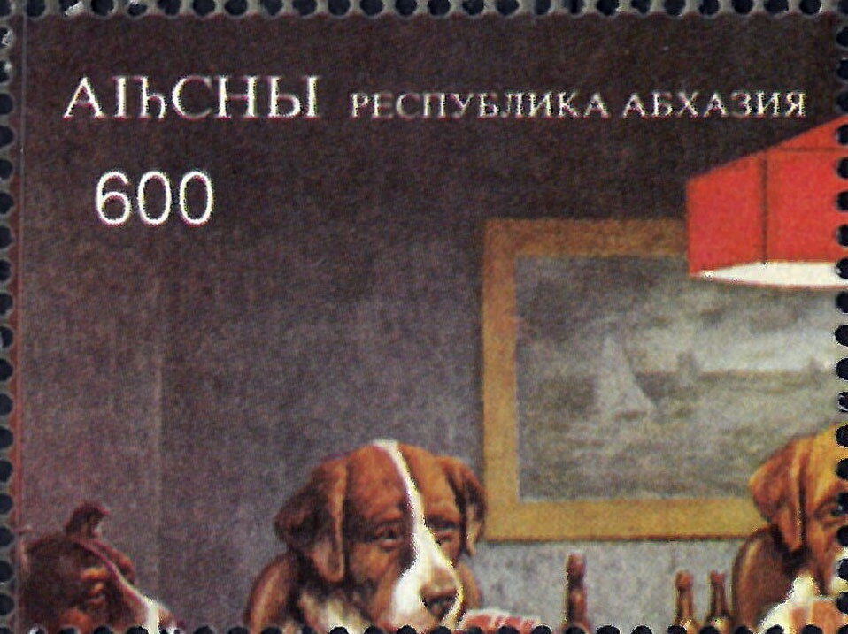 Animals frogs bats iguna