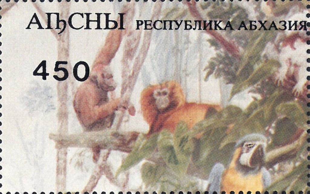 Soldiers with flag on the rock