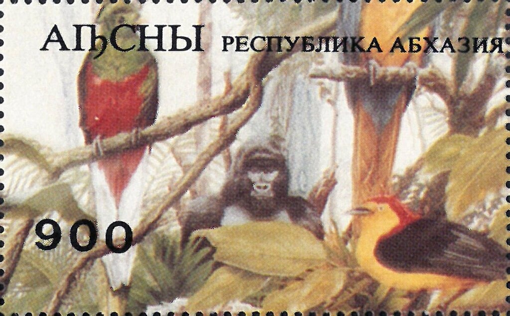 Moon Landing 25th Anniversary