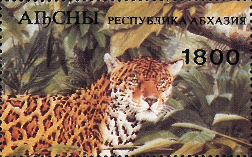 Portrait of actress Minadora Zukhba (1909-1998)