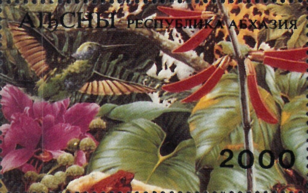 King Mohammed Zahir Shah and First Stamp - Imperforate