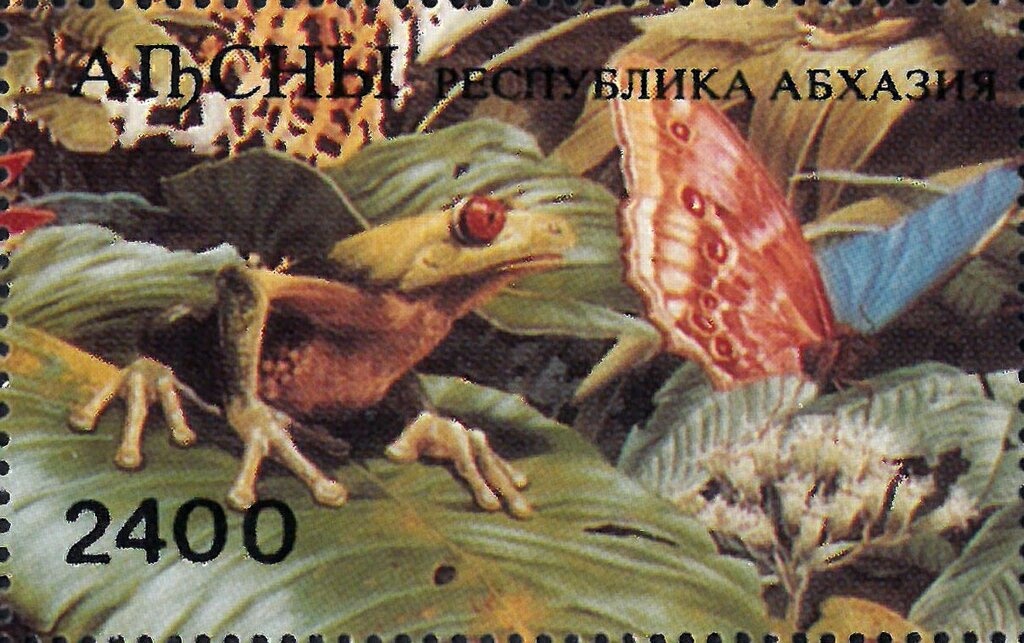 The hero of Abkhazia Sergei Dbar (1946-2000)