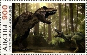 Rock dove (Columba livia)