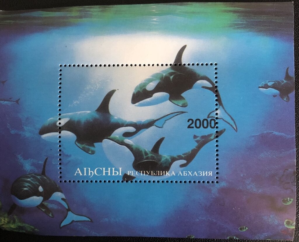 Celine Excoffon, French