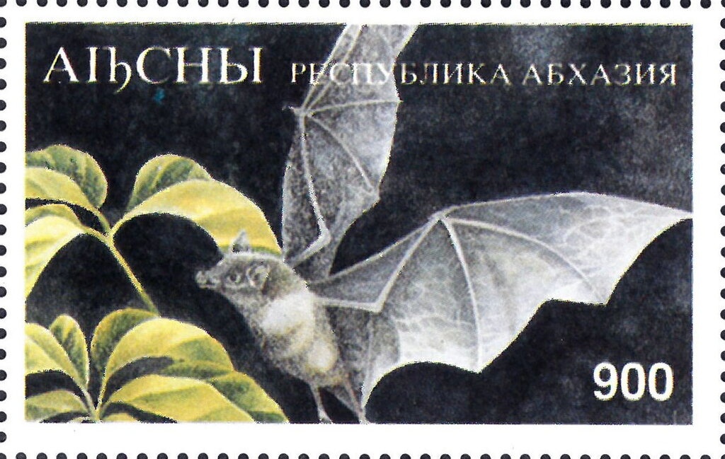 Coat of Arms - Green