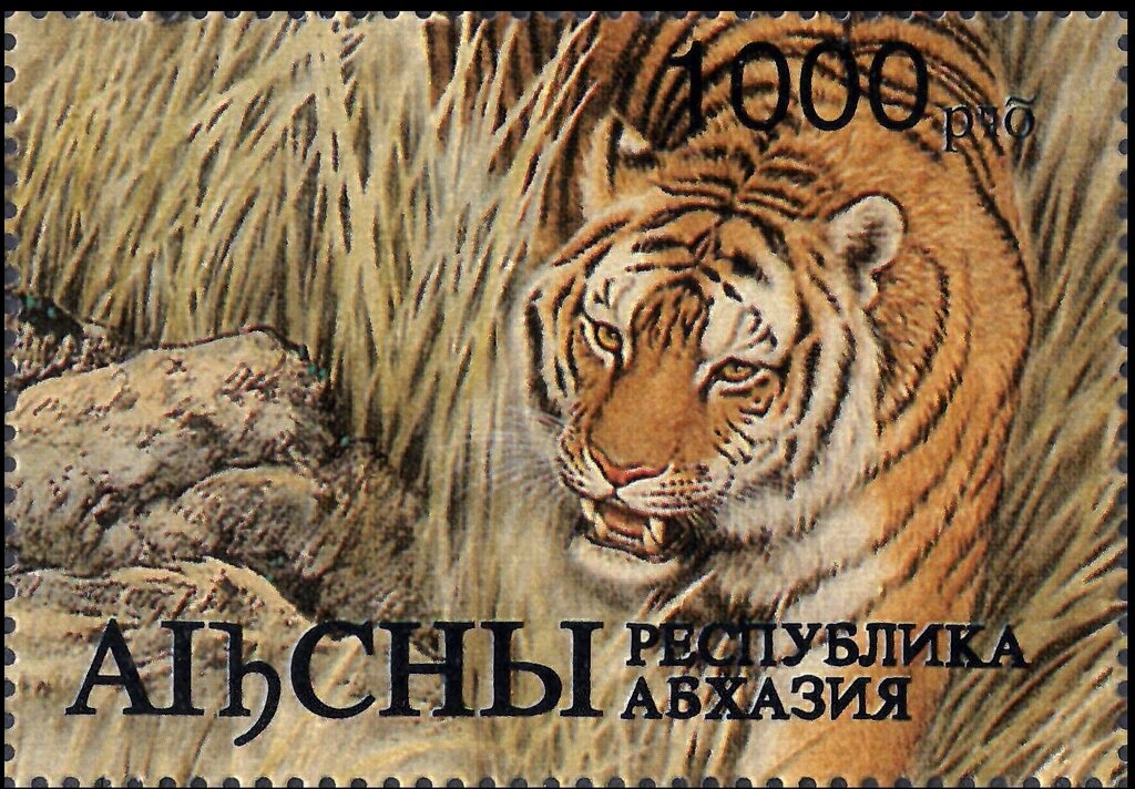 Regional Issues 200R