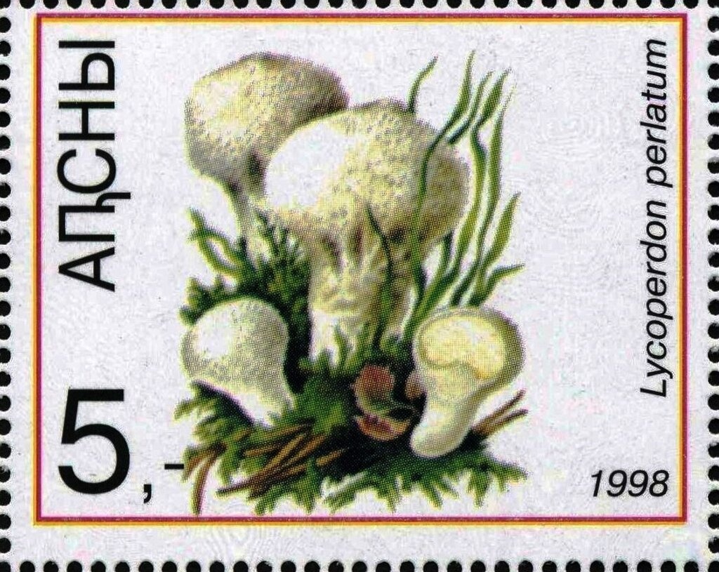 National Coat of Arms (blue)