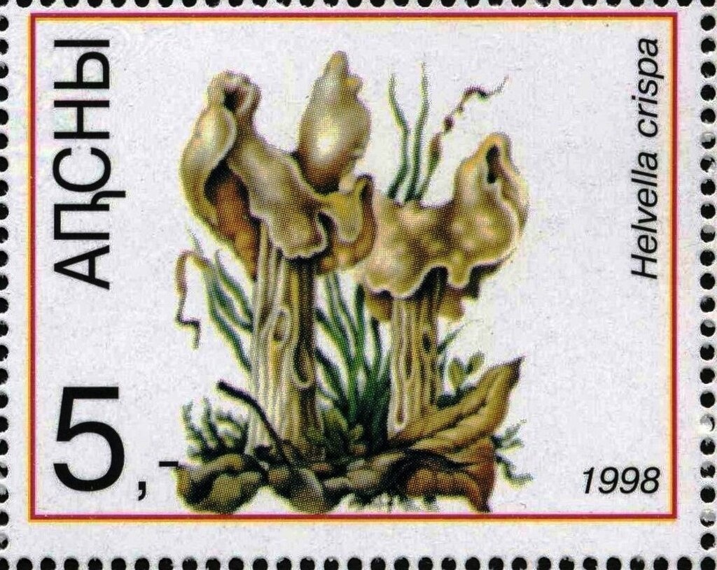 Vladimir Osiya (1915-1953)