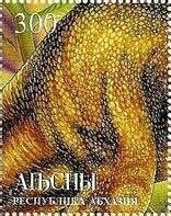 EUROPA 2005 - Abkazian Cookery