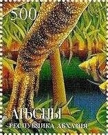 Paul Cuvelier, Belgian