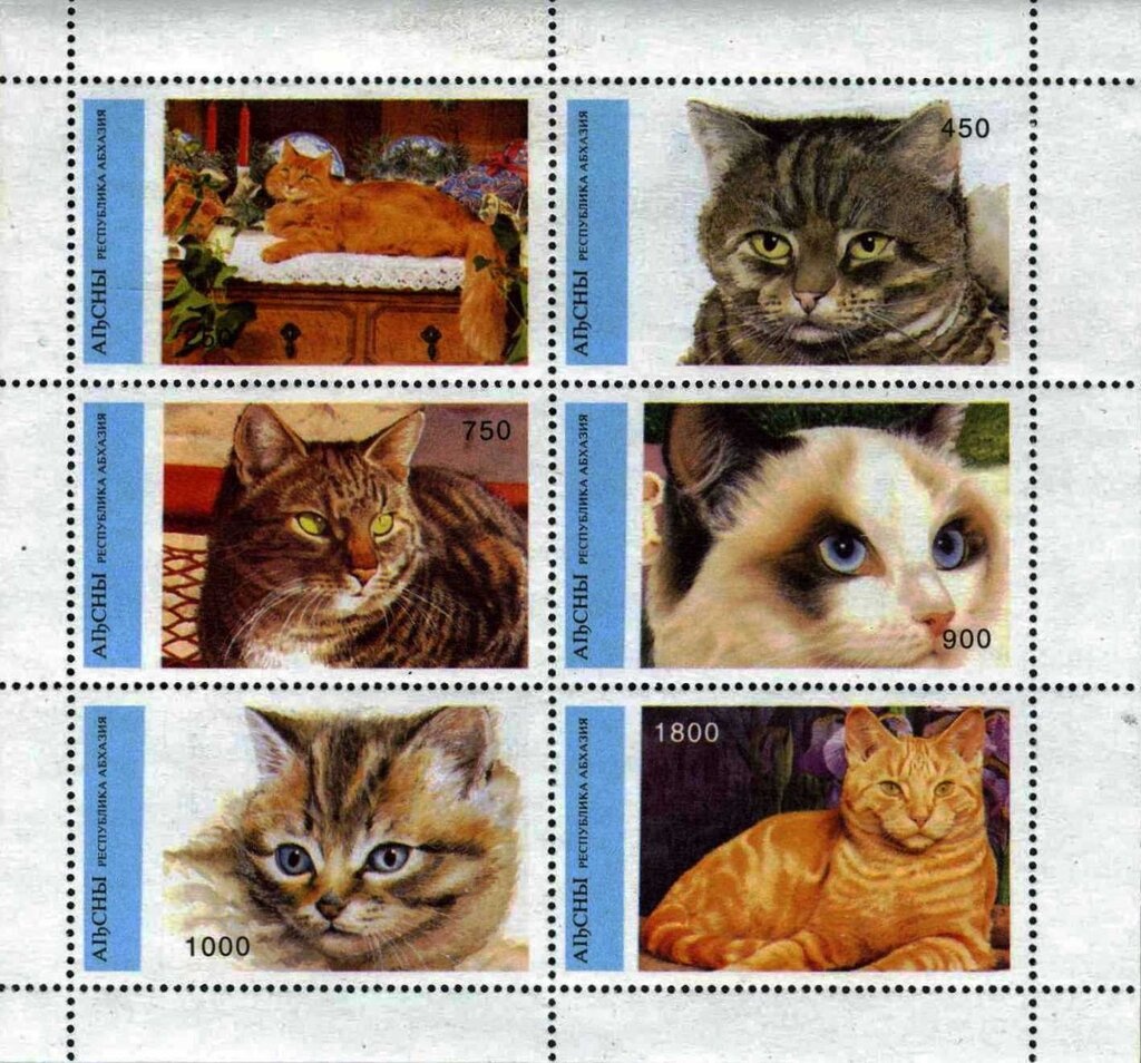 Two Monkeys and the First Satellite