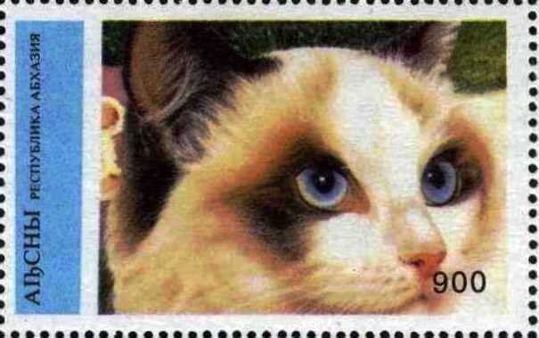 Soviet Space Programm: Satellite