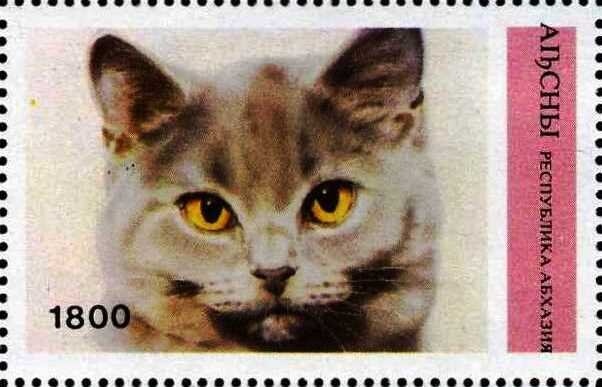 EUROPA 2005 - The Integration as seen by Young People