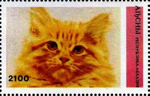 Tiger's Head, year 1293