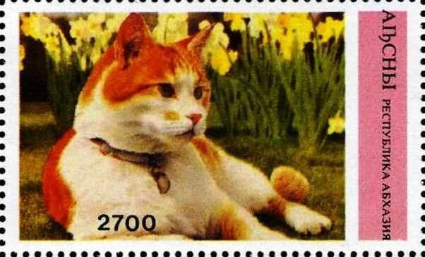 Soviet Space Programm: Yuri Gagarin