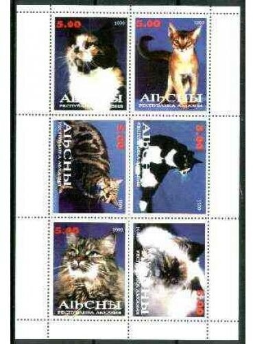 Horseman, Horse (Equus ferus caballus)