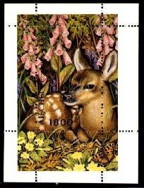 Tribal Elders' Council and Pashtun Flag