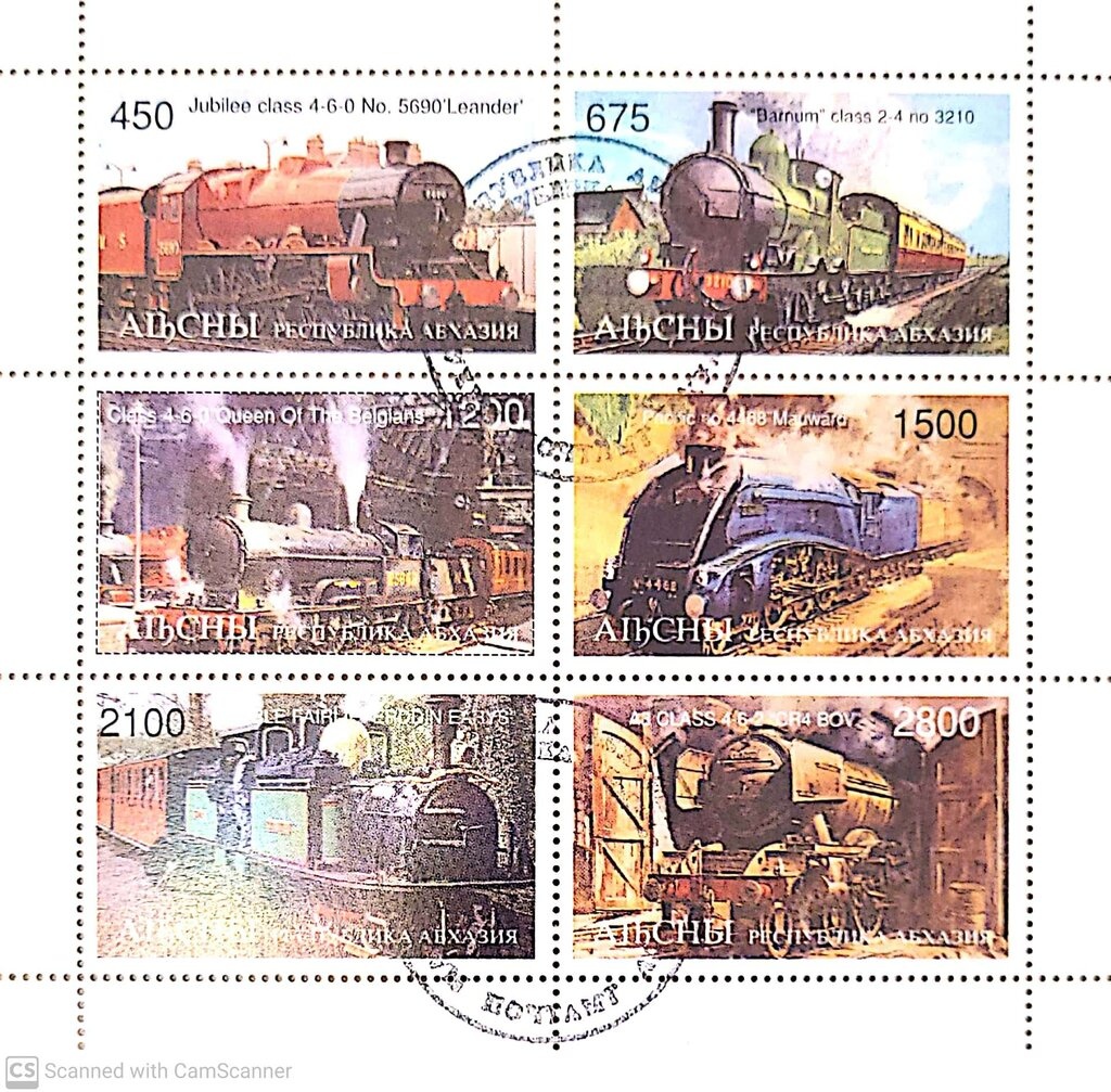 Lactarius scrobiculatus