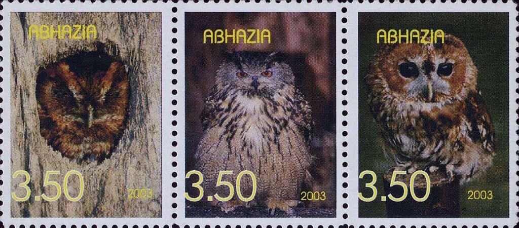 World Soccer Championship