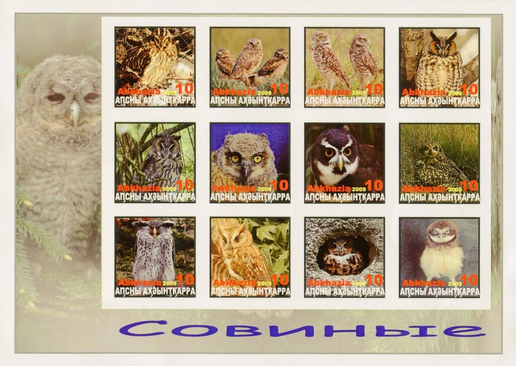 Echinocactus grusonii