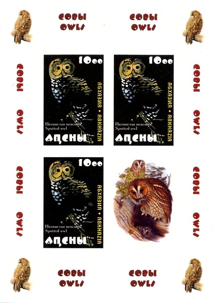 Apples (Malus sylvestris)