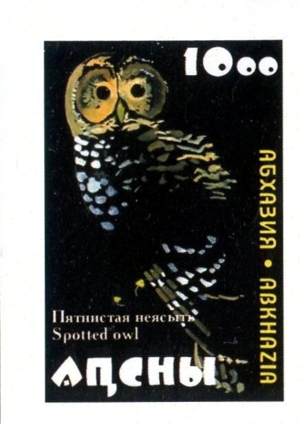 Victory Towers, Ghazni - Black