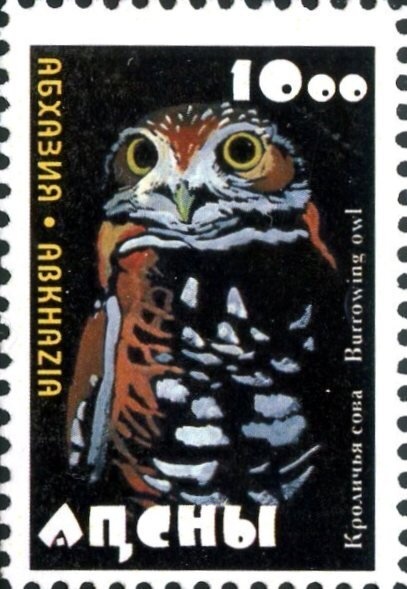 Douglas DC-6 over Mountains