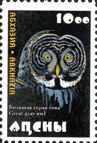 Chess Festival "Abkhazia Open"