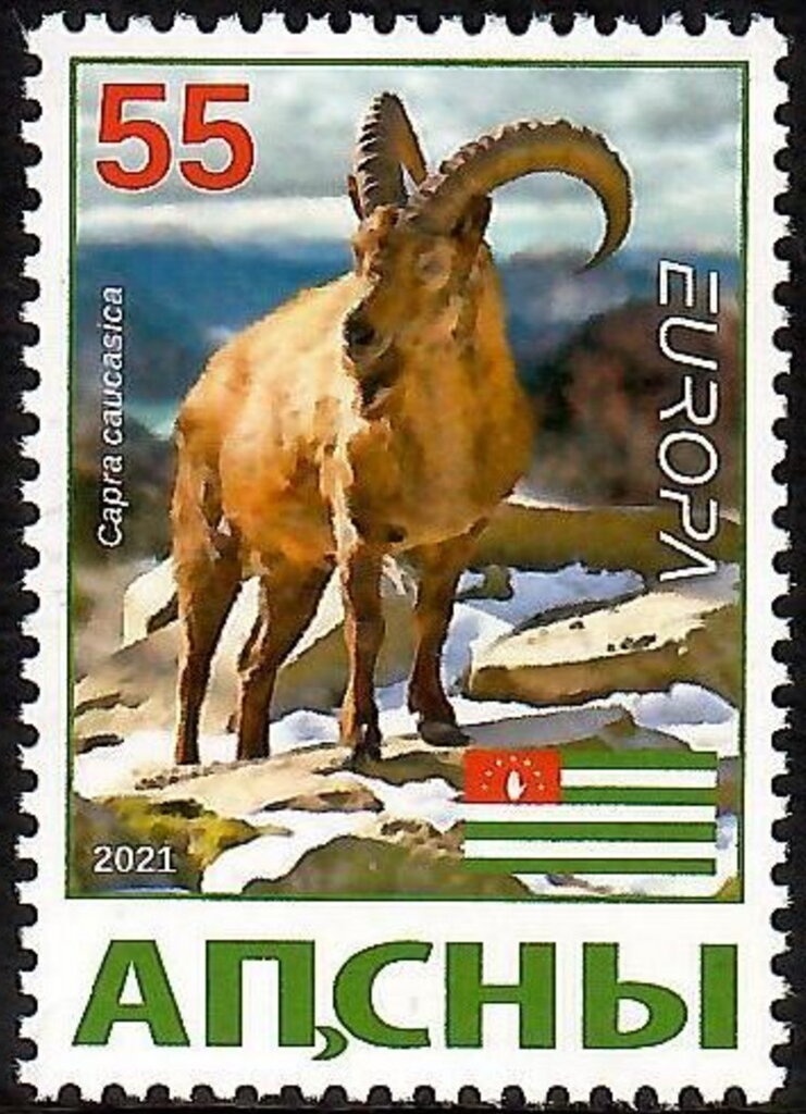 Tiger's Head, year 1293