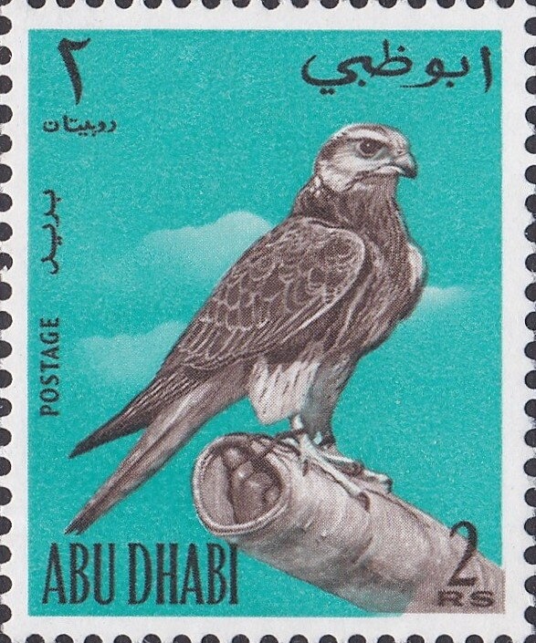 German Shorthaired Pointer