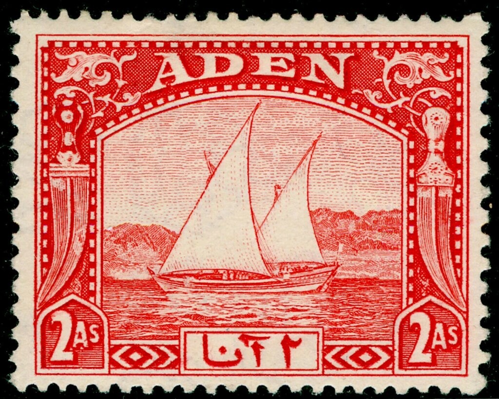 Buzkashi Game, Horse (Equus ferus caballus)