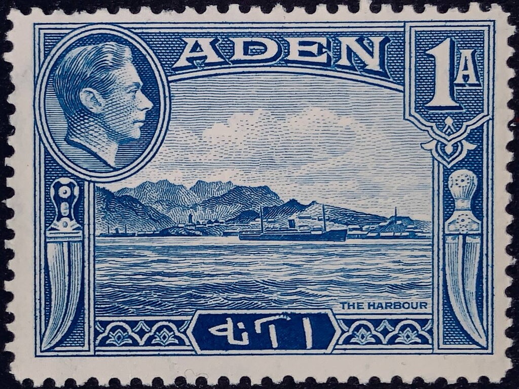 Tricholoma portentosum