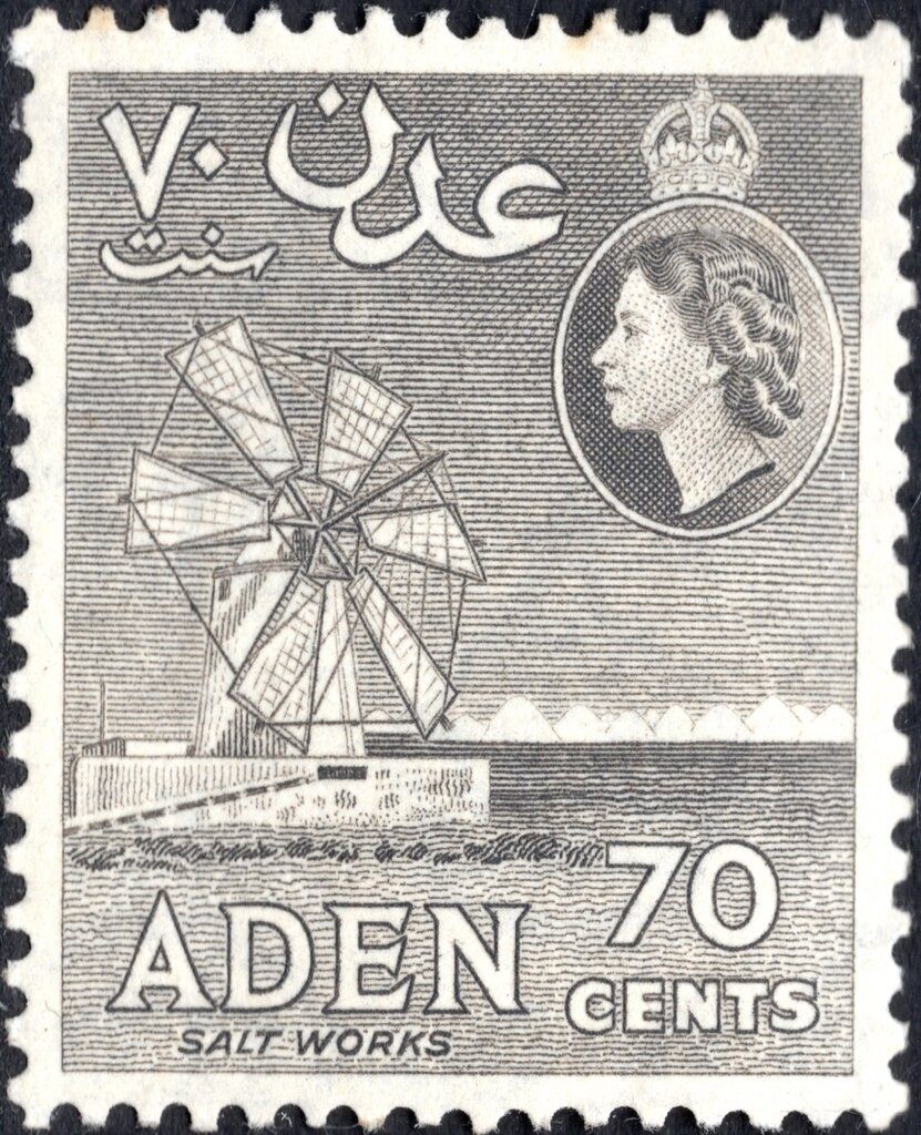 Wire-tailed manakin (Pipra filicauda)