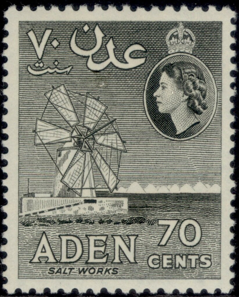 Chinese Wisteria (Wisteria sinensis)