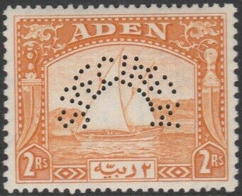 Aden Socotra Expedition: Dhow