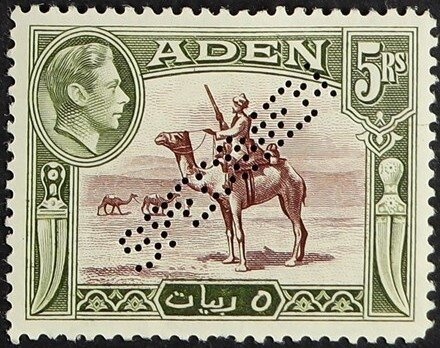 Capture of Aden, 1839 (Capt. Rundle)