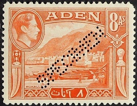 Chinese Wisteria (Wisteria sinensis)