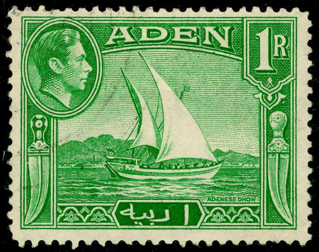 Adenese Camel Corps, Dromedary (Camelus dromedarius)