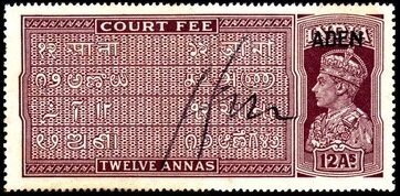 Adenese Camel Corps, Dromedary (Camelus dromedarius)