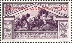 Afghan Hound (Canis lupus familiaris)