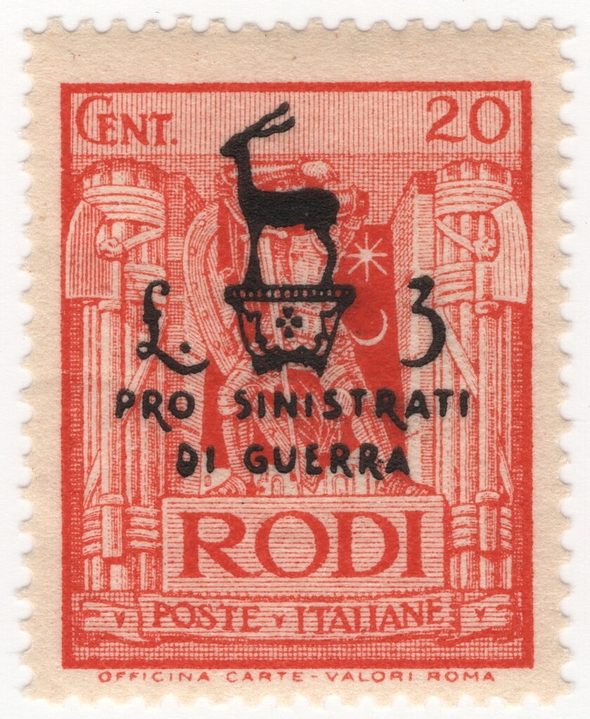 Tiger (Panthera tigris)