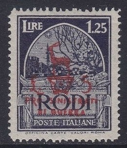 Ground Beetle (Carabus sp.)