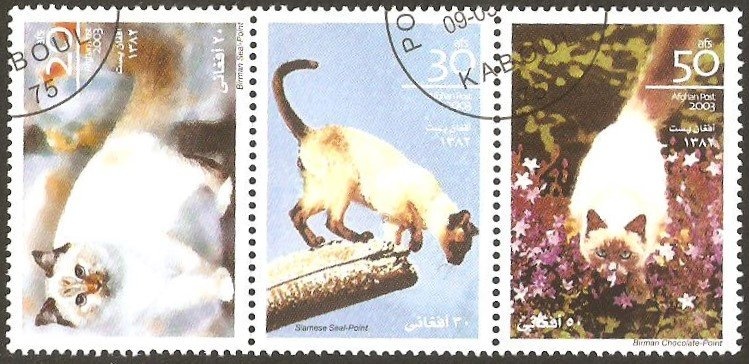 Pro sinistrati di guerra