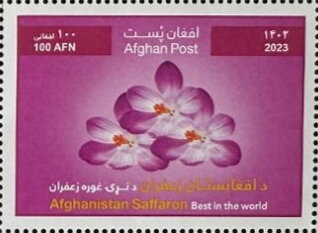 Ploughing with Oxen and Tractors