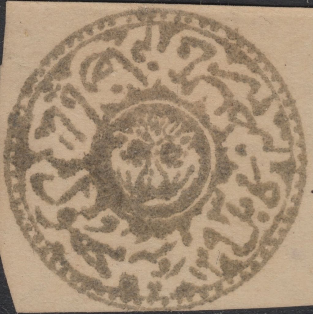 Buzkashi Game, Horse (Equus ferus caballus)