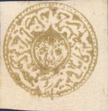 Tawny Funnel Cap (Clitocybe inversa)