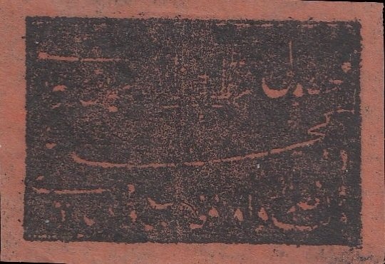 Yucatan Molly (Poecilia velifera)